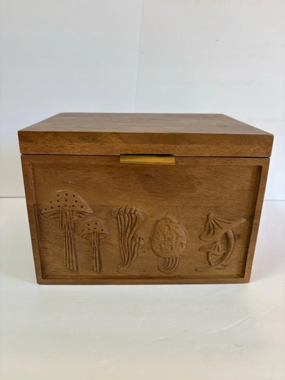 NWT Anthropologie Terrain Mushroom Seed Storage Box